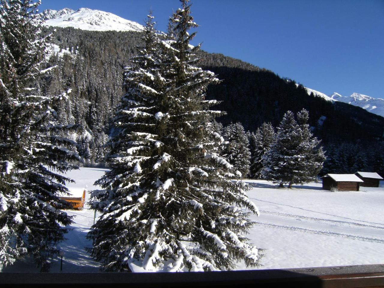 Albergo Thurwieser Santa Caterina di Valfurva Extérieur photo